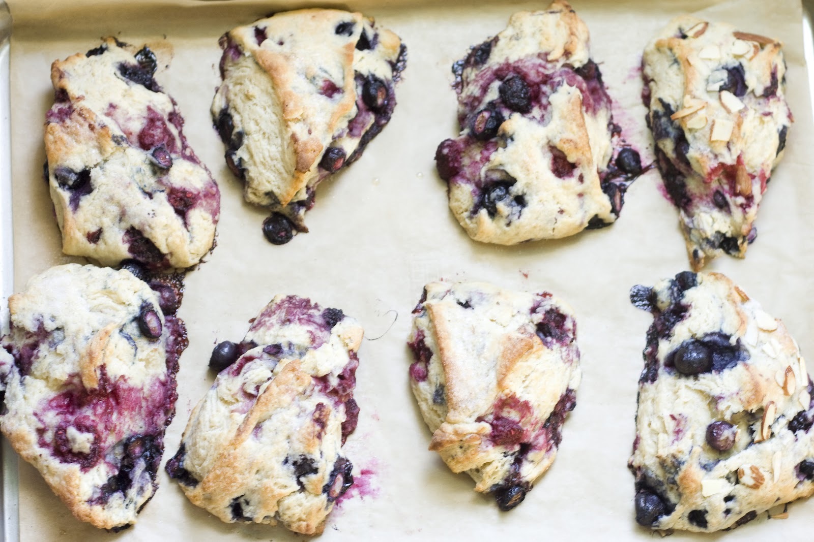 Berry Scone Recipe.jpg