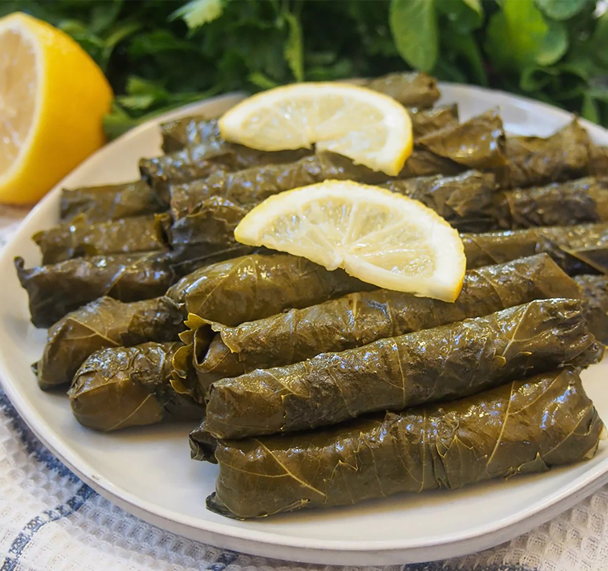 Cozy Stuffed Grape Leaves (Dolma).jpg