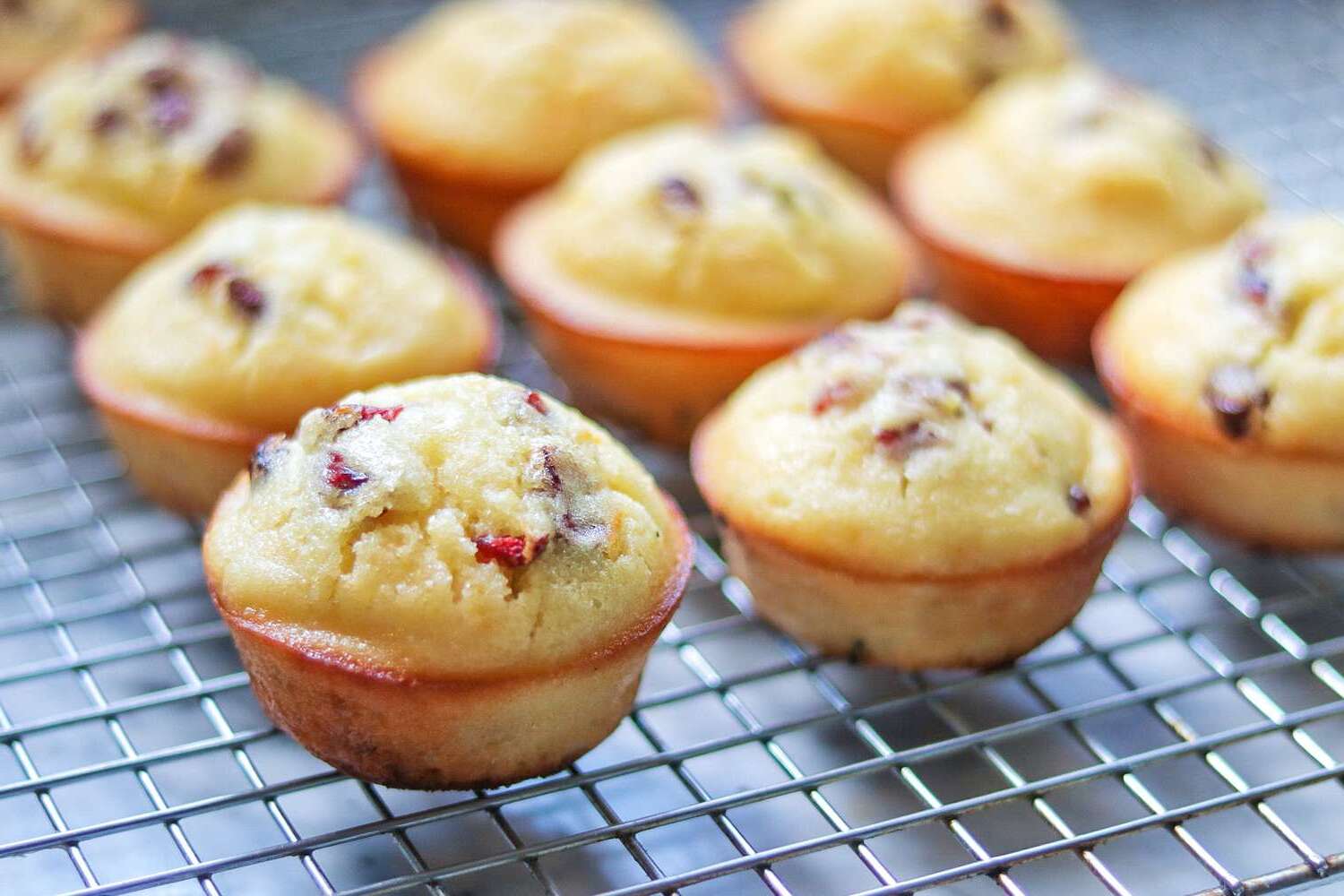 Cranberry Orange Muffins Recipe (1).jpg