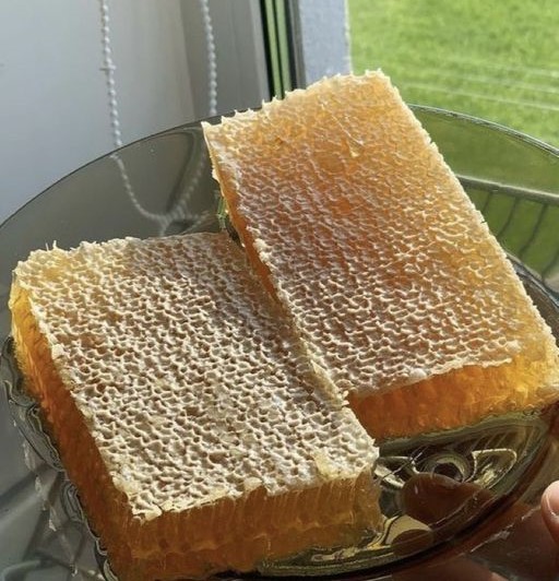 Honey Comb.jpg