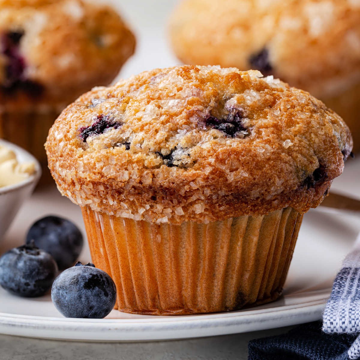 jordan_marsh_blueberry_muffin.jpg