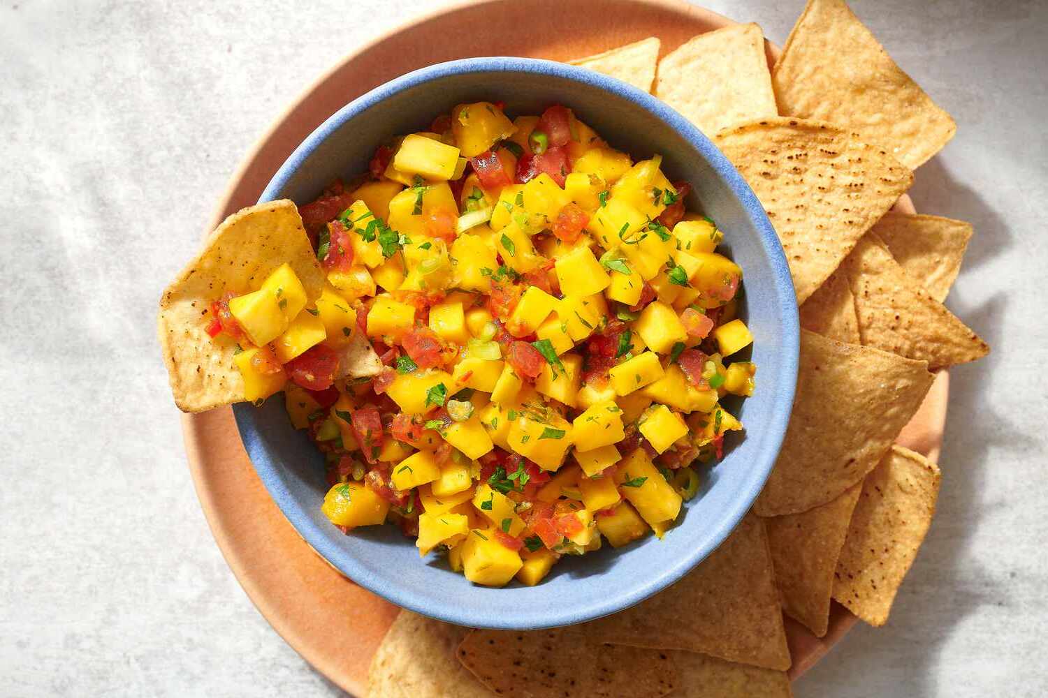 Mango Salsa With Anything Grille.jpg