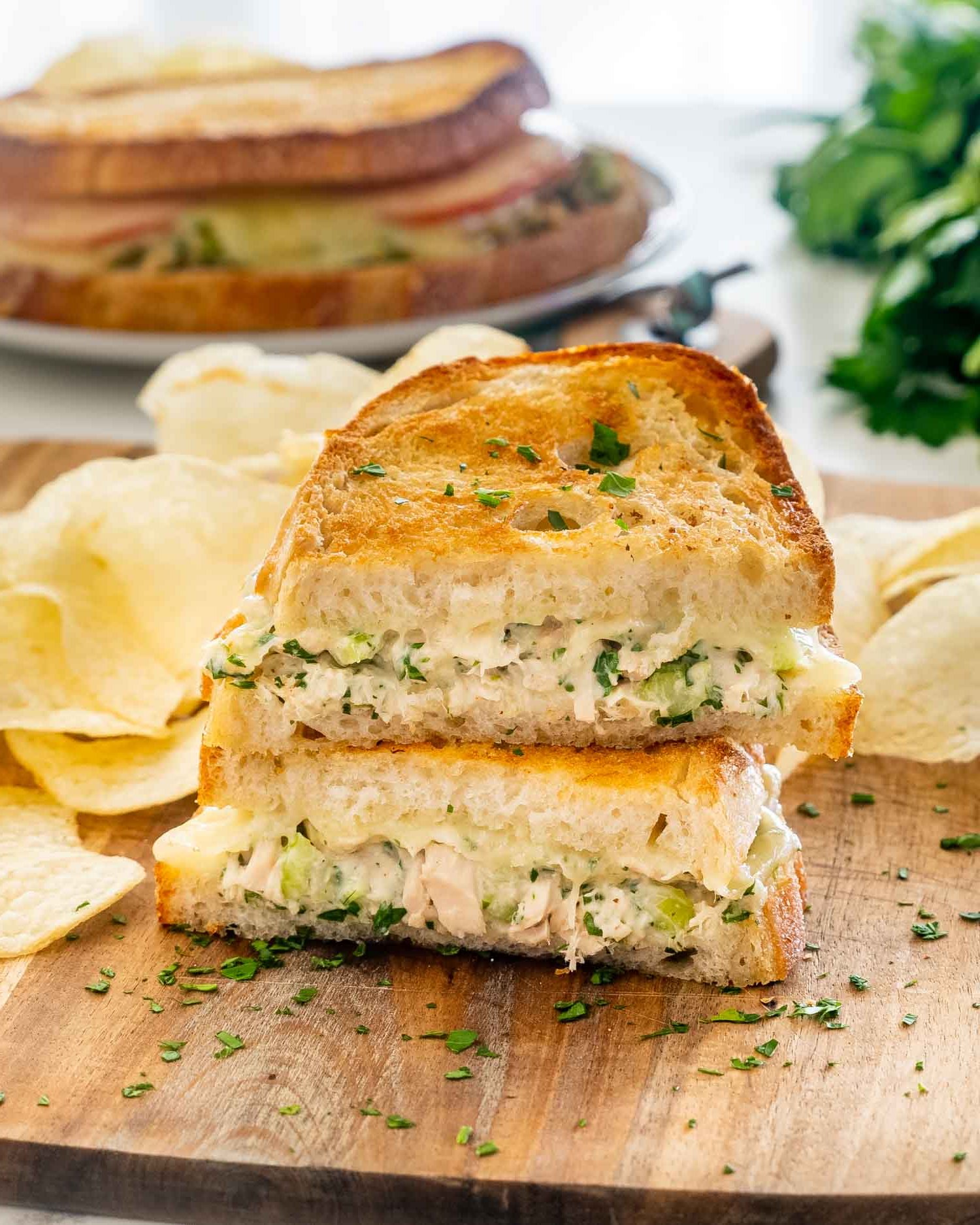 Mediterranean Tuna Melts.jpg