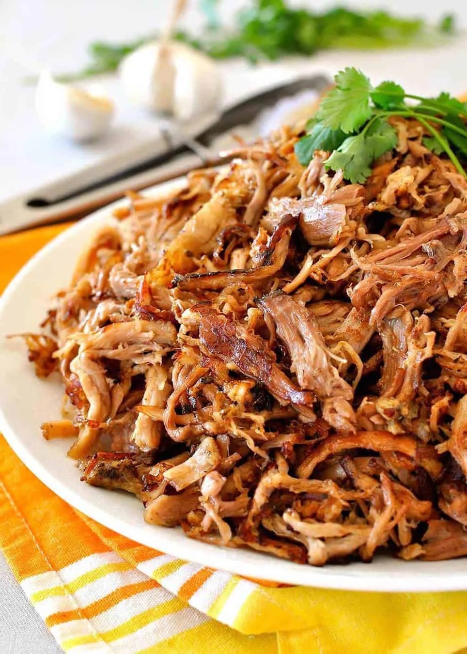 Pork-Carnitas-1000px.jpg