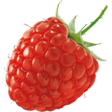 raspberry (1).png