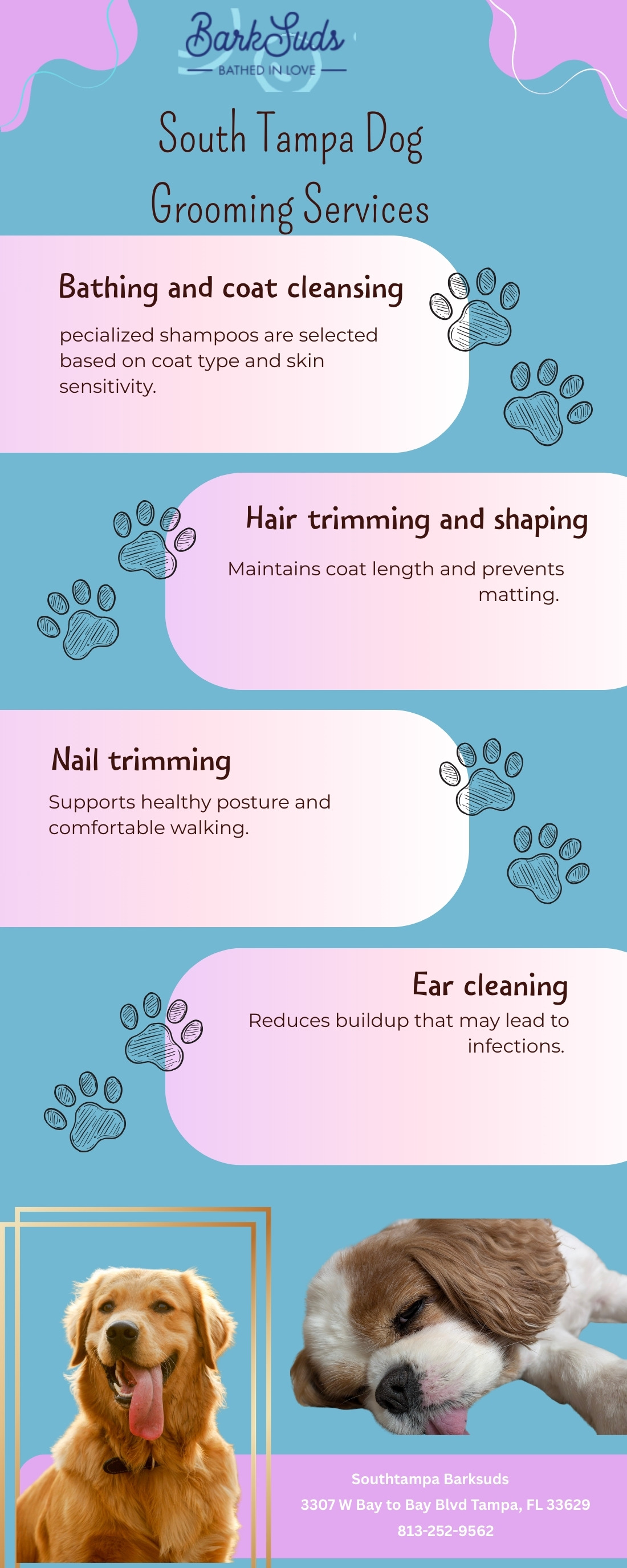 South Tampa Dog Grooming Services.jpg