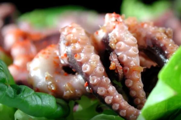 SQUID SALAD OR OCTOPUS SALAD .jpg