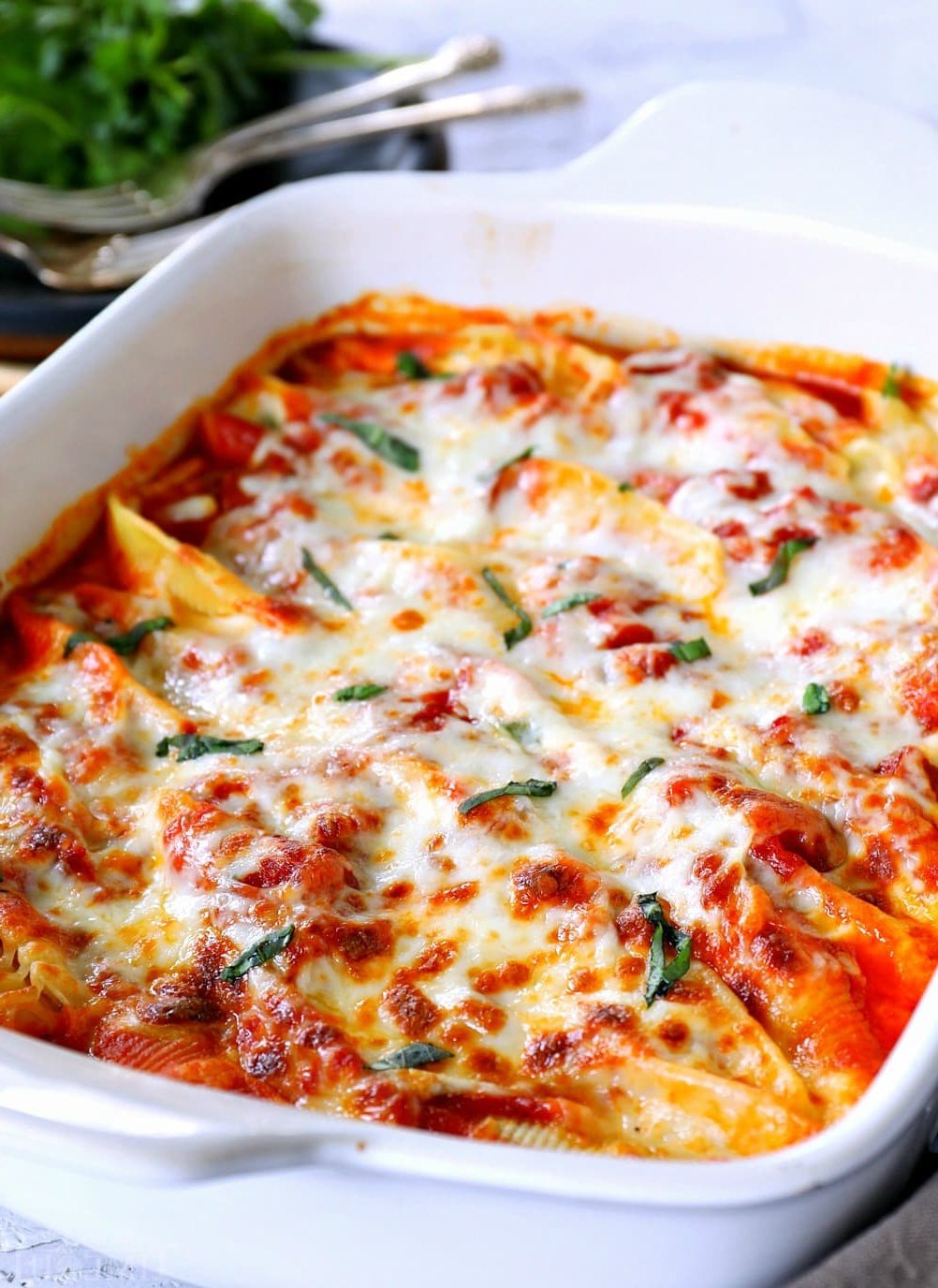 stuffed-shells-no-text.jpg