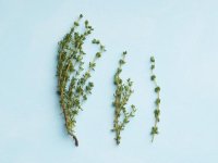 sprig-of-thyme.jpg