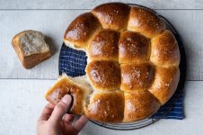 Sourdough Rolls Recipe.jpg