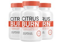 CitrusBurnbanner2 (1).jpg