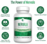 61QkGC502_L._AC_SL1200_ (2).jpg