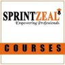 sprintzeal1213
